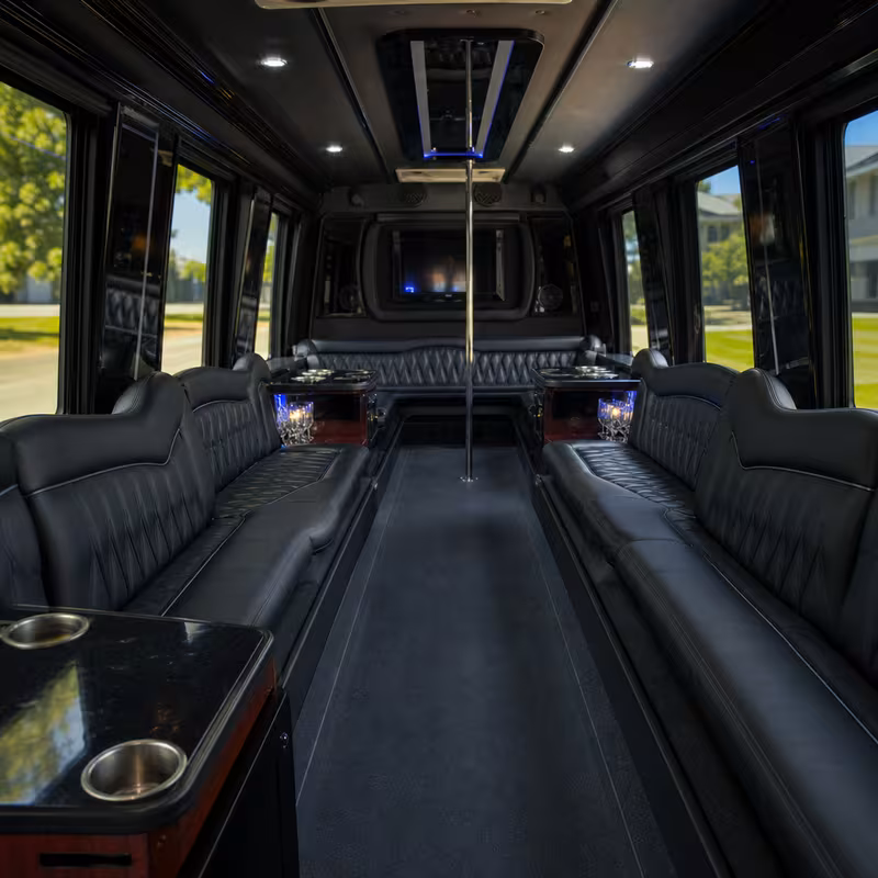 Passenger watching the Baton Rouge scenery during a regional party bus road trip