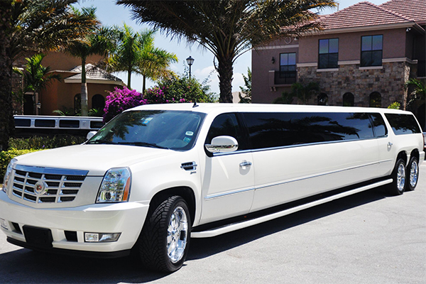 Baton Rouge 20 Passenger Limo